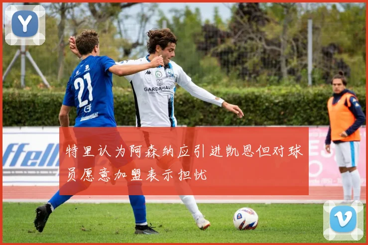 特里认为阿森纳应引进凯恩但对球员愿意加盟表示担忧