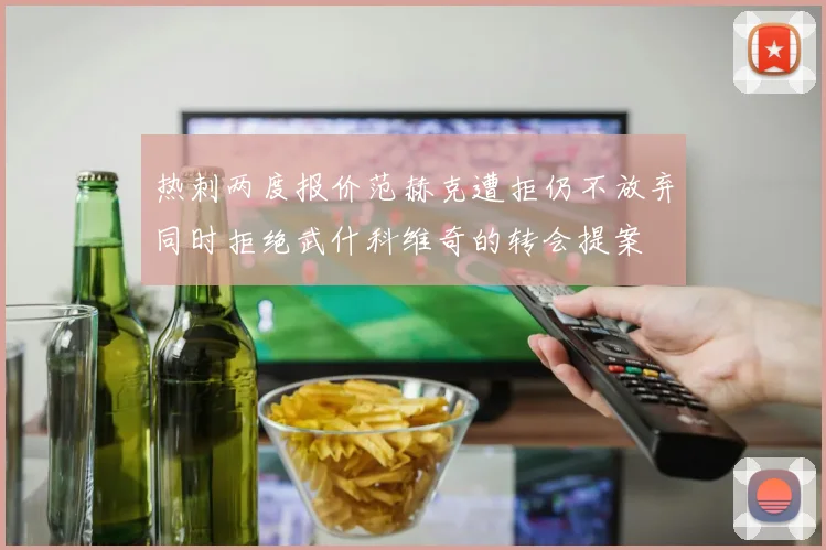 热刺两度报价范赫克遭拒仍不放弃同时拒绝武什科维奇的转会提案
